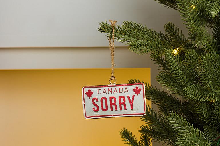 Load image into Gallery viewer, Sorry License Plate Ornament
