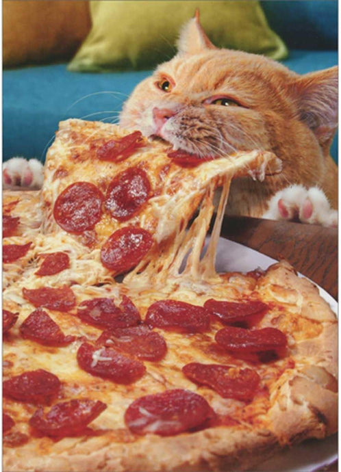 Cat Eating a Whole Pizza Birthday Card