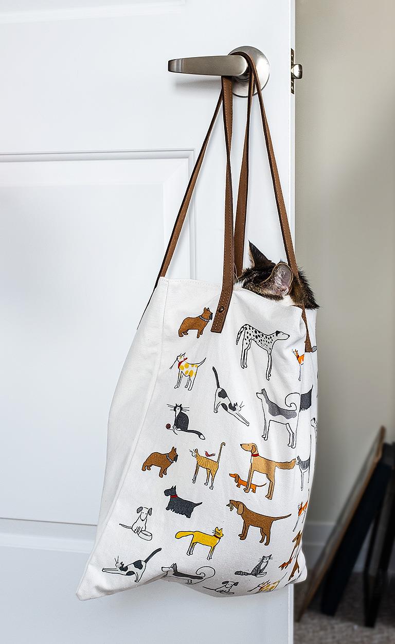 Load image into Gallery viewer, Dogs &amp; Cats Canvas Bag
