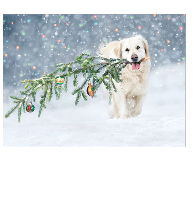 Dog with Christmas Tree Branch Card