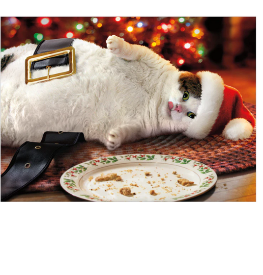 Santa Cat with Cookies Christmas Card