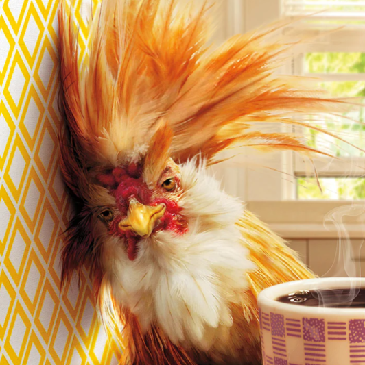 Rooster Hangover Birthday Card