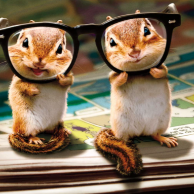 Chipmunks with Glasses Birthday Card