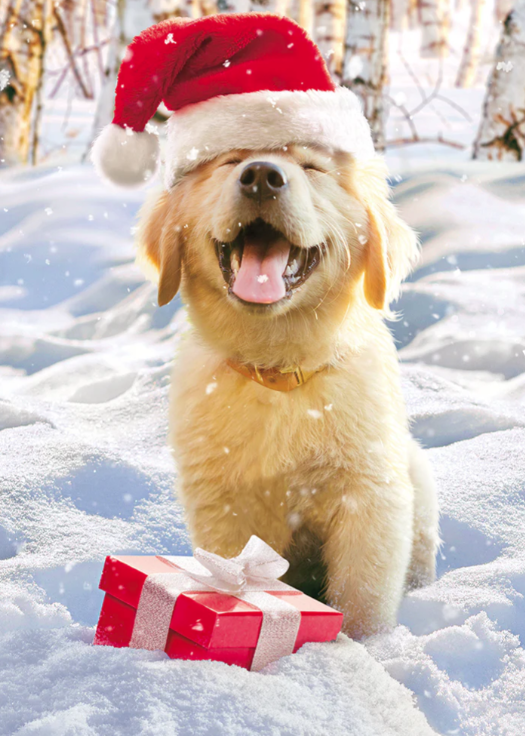 Christmas Puppy Card
