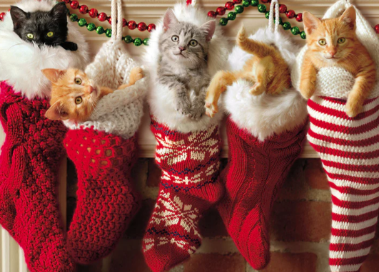 Load image into Gallery viewer, Kittens in Stockings Christmas Card

