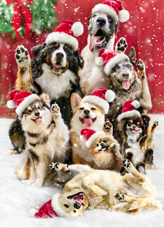 Load image into Gallery viewer, Santa Dogs Christmas Card
