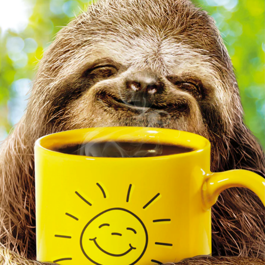 Load image into Gallery viewer, Sloth Hugs and Smiles Card
