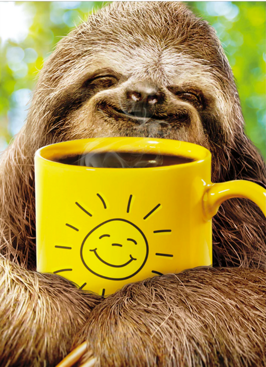 Sloth Hugs and Smiles Card