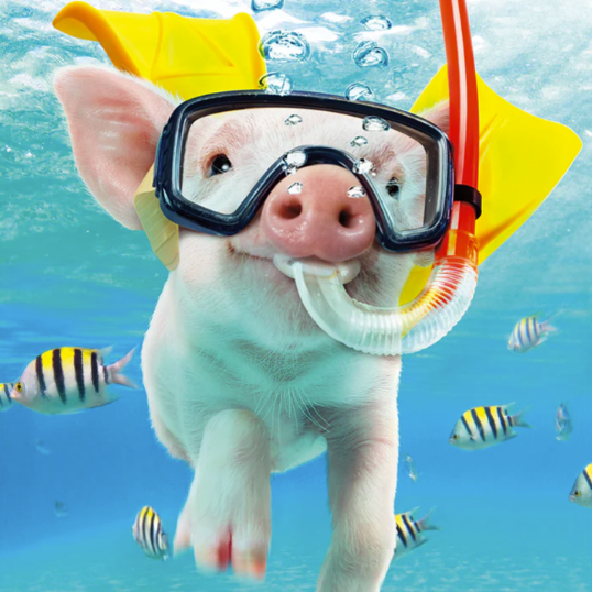 Load image into Gallery viewer, Deepest Thanks Card
