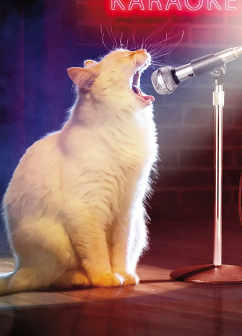 Load image into Gallery viewer, Cat Singing Birthday Card
