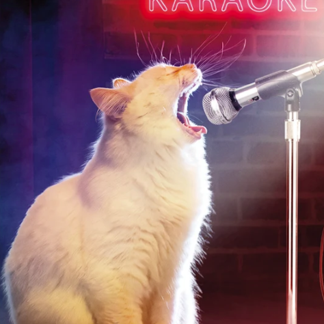 Load image into Gallery viewer, Cat Singing Birthday Card
