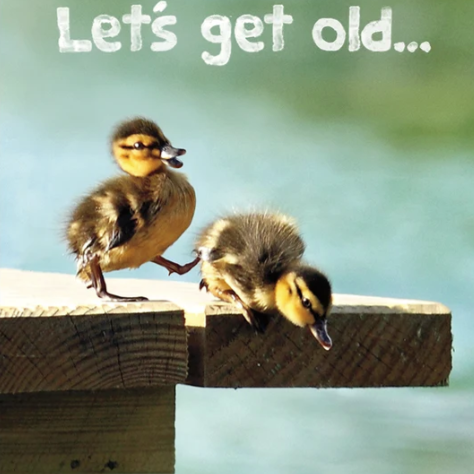 Load image into Gallery viewer, Ducklings Birthday Card
