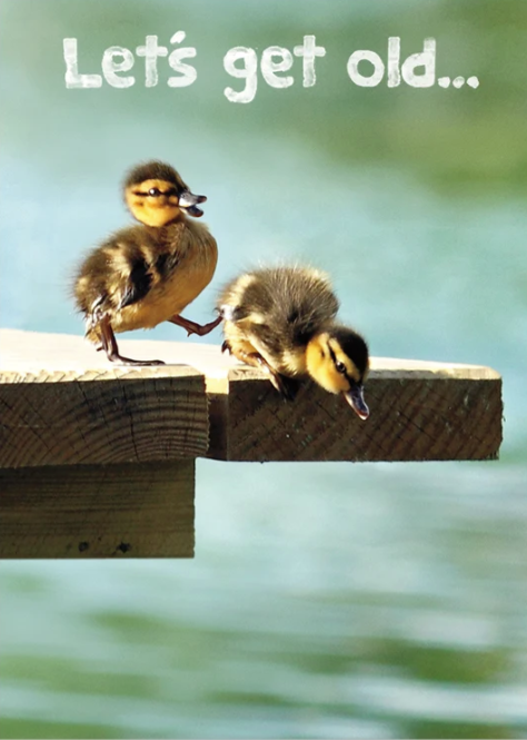 Ducklings Birthday Card