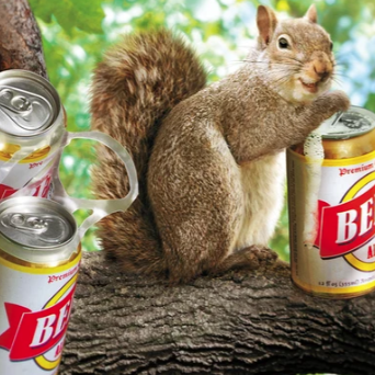 Load image into Gallery viewer, Squirrel with a 6pack Birthday Card
