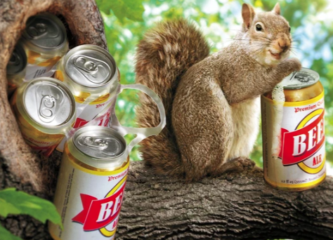 Squirrel with a 6pack Birthday Card