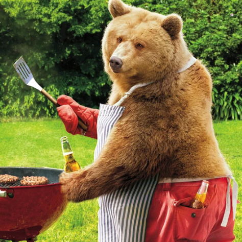 BBQ Bear Birthday Card