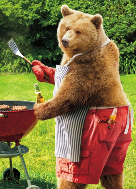 BBQ Bear Birthday Card