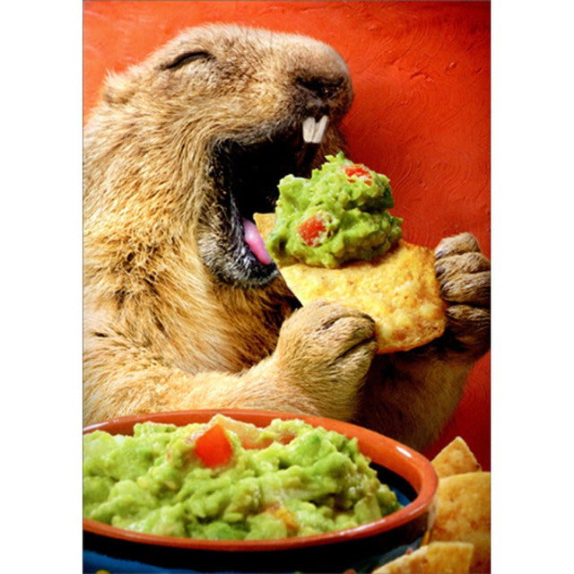 Groundhog Happy Birthday Card