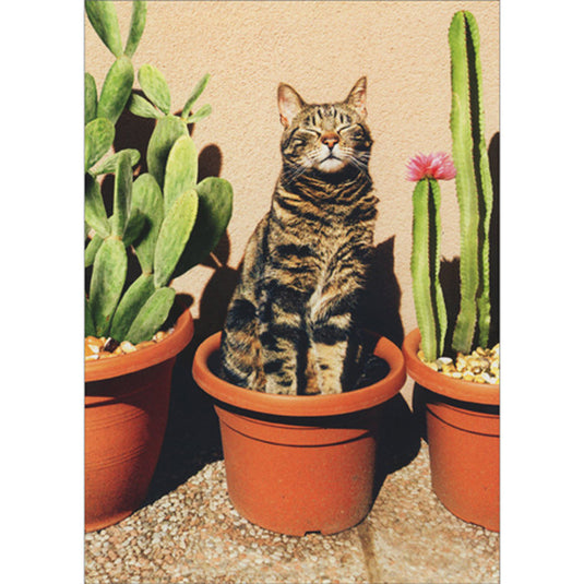 Cactus Cat Card