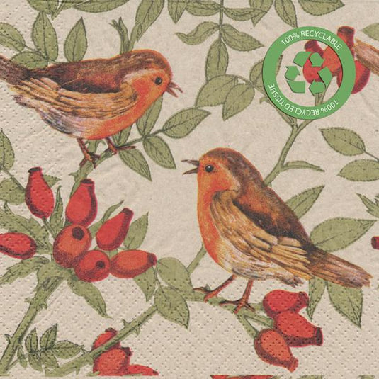 Eco-Paper Napkins, Lunch : Robins