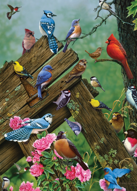 Jigsaw Puzzle : Birds of the Forest