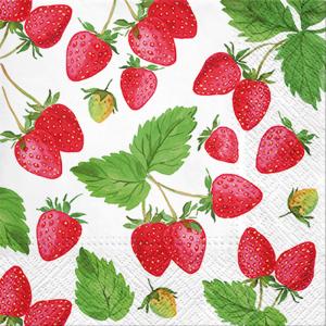 Paper Napkins, Lunch : Strawberries