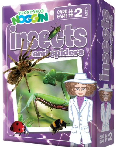 Professor Noggin Insects and Spiders